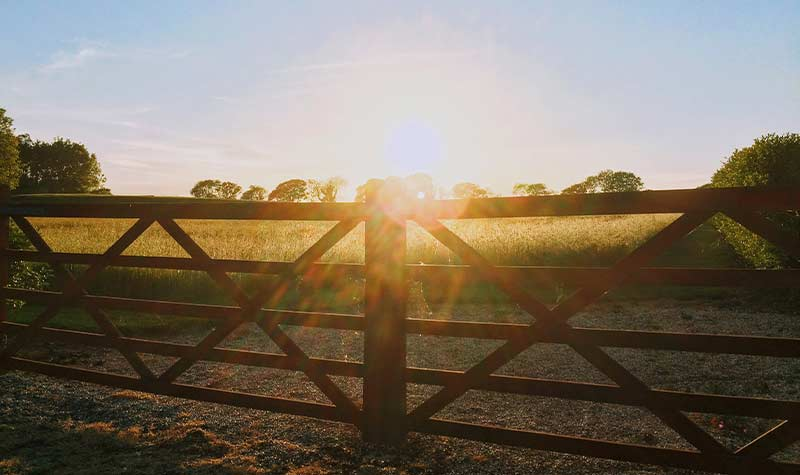 Fence Gates Openers And Repairs Decatur Tx Cokendolpher Gates