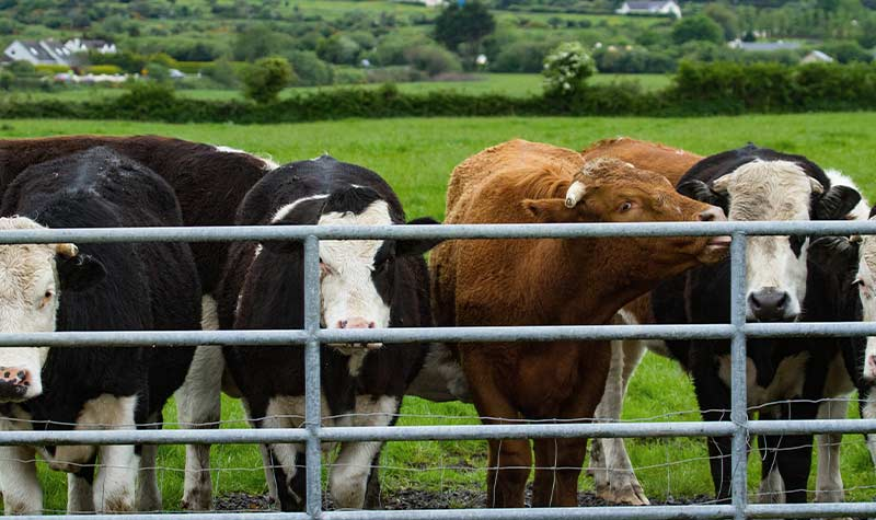 Gate Repair Decatur Texas Cokendolpher