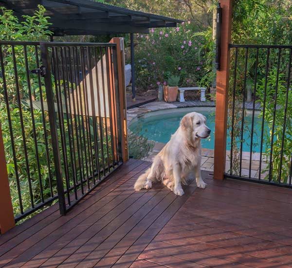 Pool Gates Fences Weatherford Texas Cokendolpher Gates Openers And Fencing