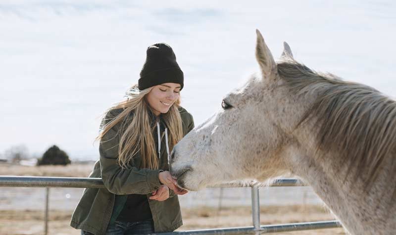 Custom Fences Gates Openers Springtown Tx Cokendolpher