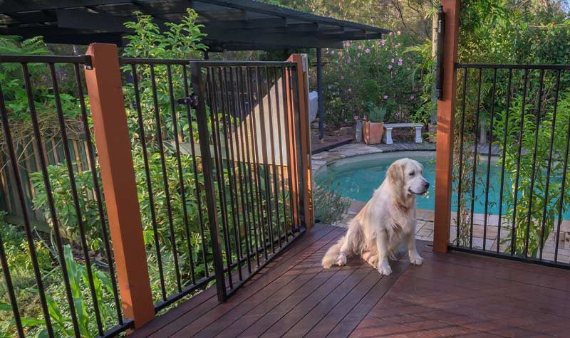 Pool Fencing Weatherford Texas Installation Cokendolpher